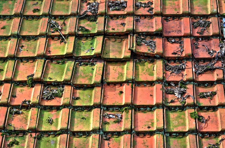 Roof Cleaning